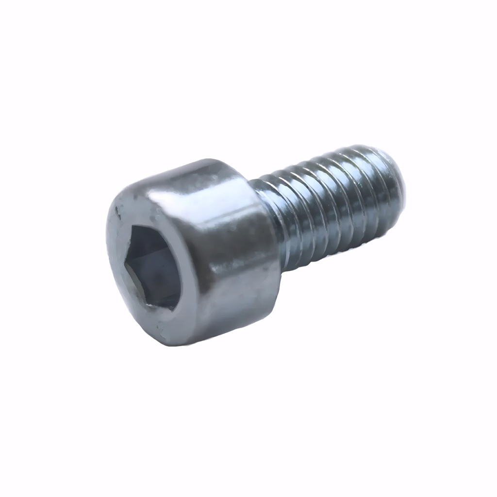 [9005021] Tornillo prisionero para sujeción escobillas acero inox